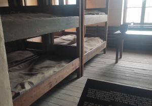 Wycieczka do Auschwitz – Birkenau