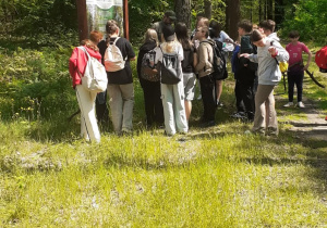 Zdjęcie 15 na 48