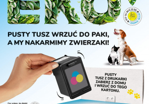 Zdjęcie 1 na 1